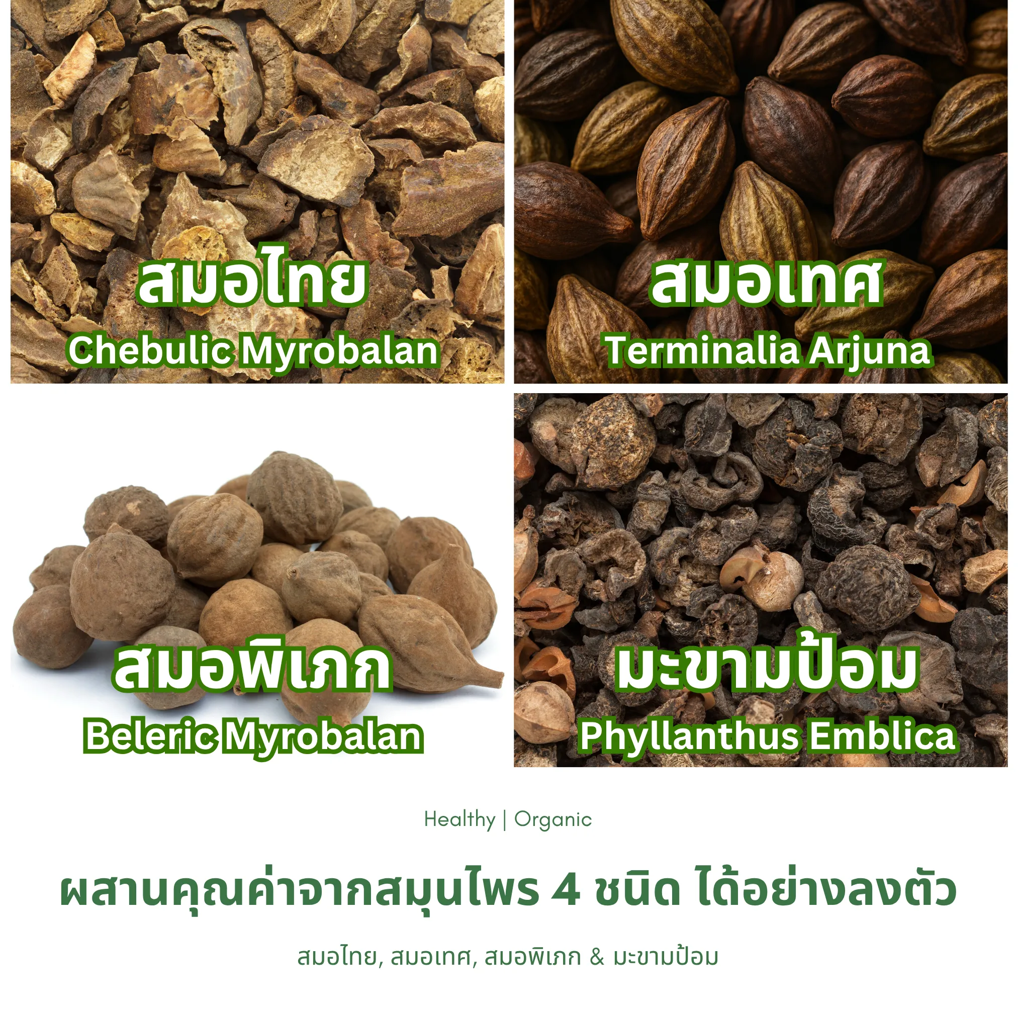 สมุนไพรและผลไม้ในตำรับชาจตุผลาธิกะ