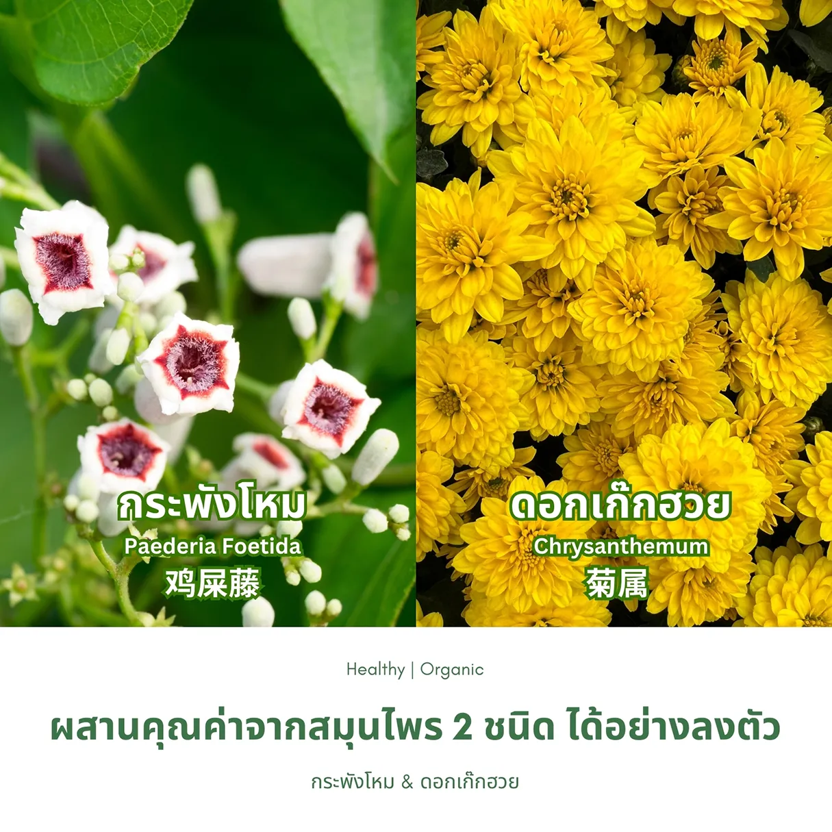 แพ็กเกจและฉลากสินค้าจริง