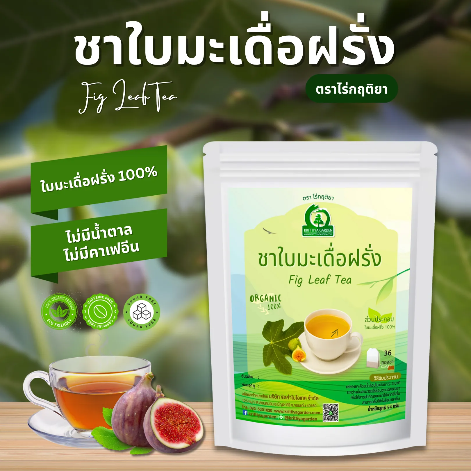ชาใบมะเดื่อฝรั่ง