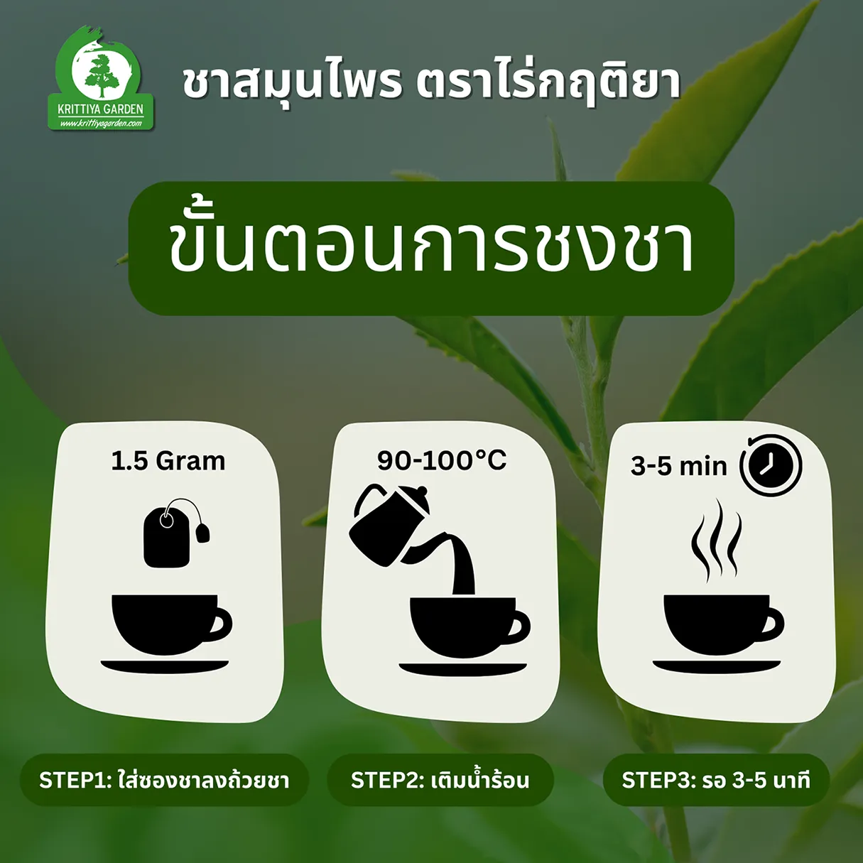 ชากระพังโหมผสมดอกเก๊กฮวย ภาพสินค้าจริงจากหน้าร้านไร่กฤติยา