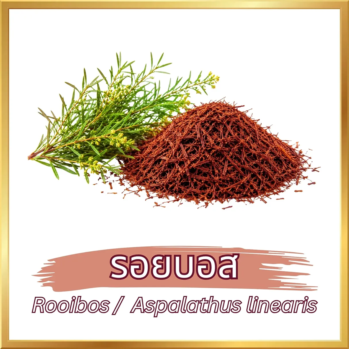 ชารอยบอส (Rooibos Tea) ภาพสินค้าจริงจากหน้าร้านไร่กฤติยา