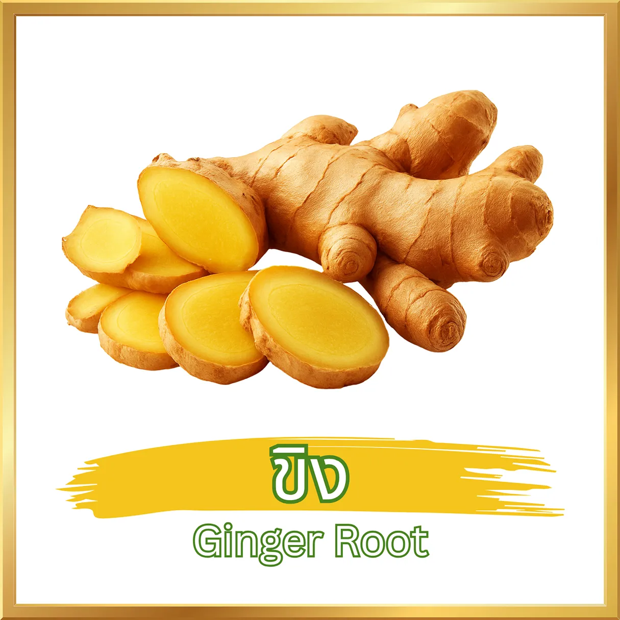 วิธีชง/วิธีดื่ม ผงขิง (Ginger Root Powder) จากไร่กฤติยา