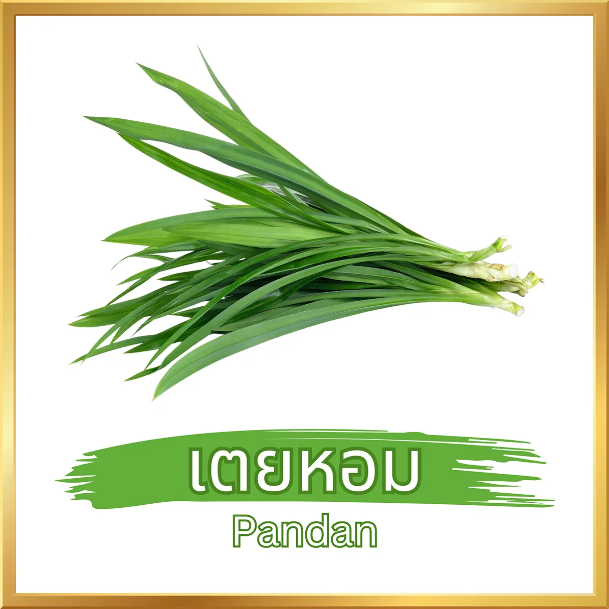 วิธีชง/วิธีดื่ม ผงเตยหอม (Pandan Powder) จากไร่กฤติยา