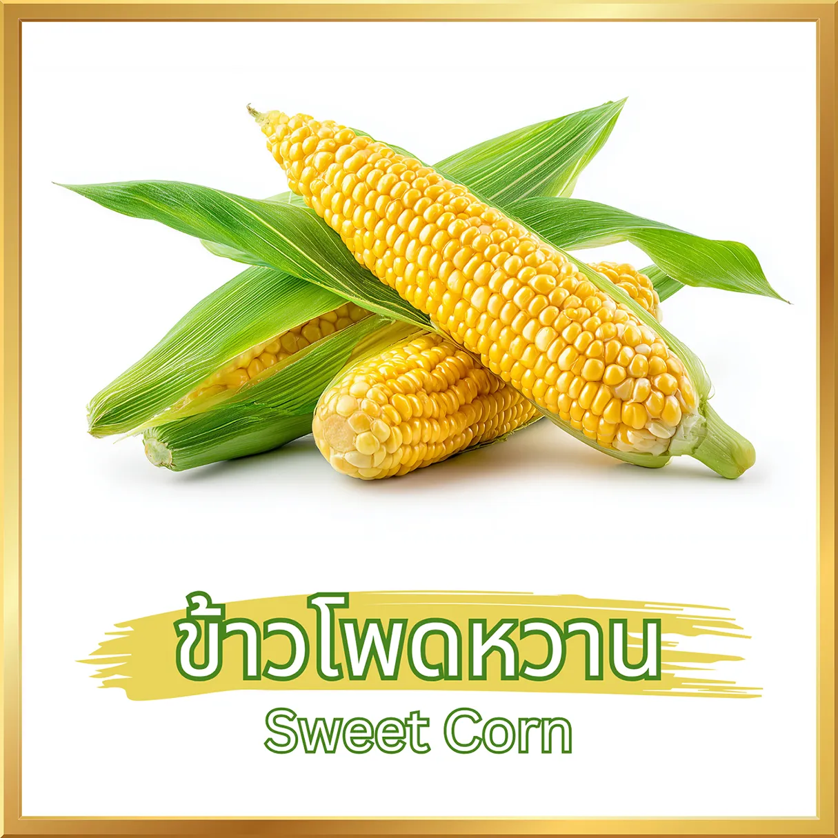 ผงข้าวโพดหวาน (Sweet Corn Powder) จากไร่กฤติยา
