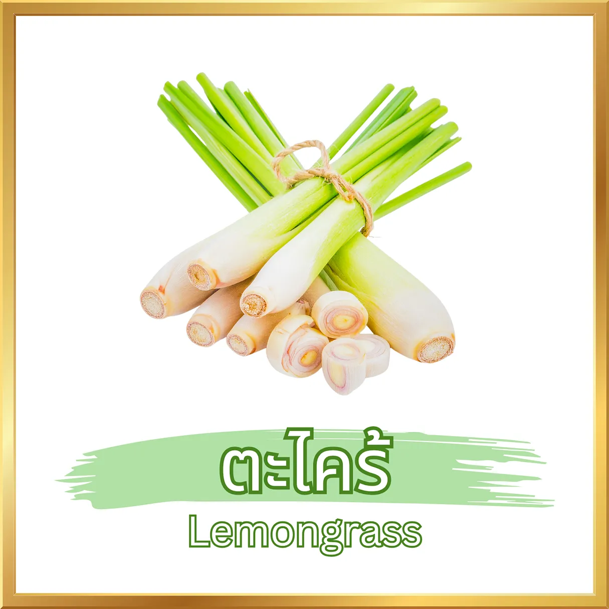 ผงตะไคร้ (Lemongrass Powder) ภาพสินค้าจริงจากหน้าร้านไร่กฤติยา