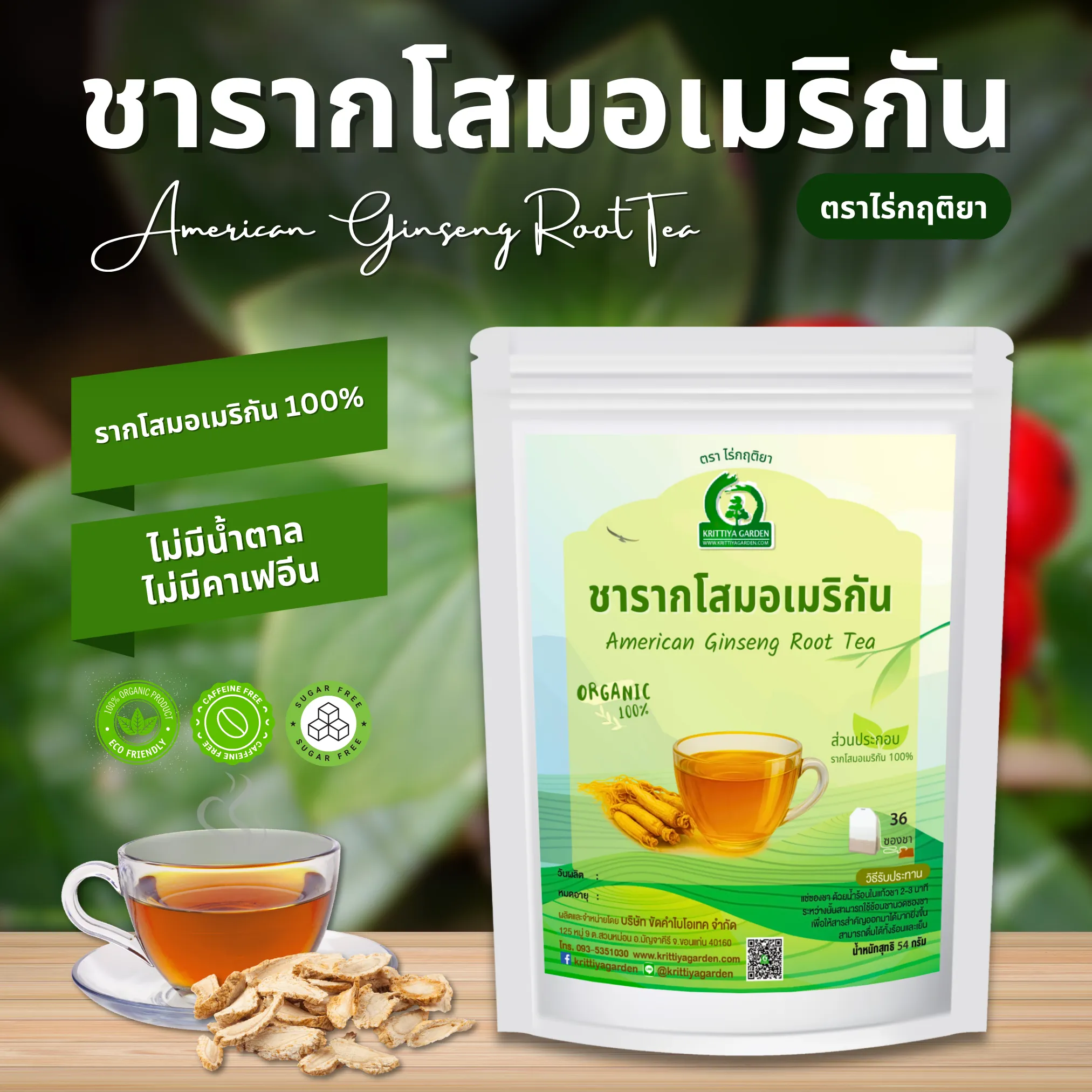 ชารากโสมอเมริกัน