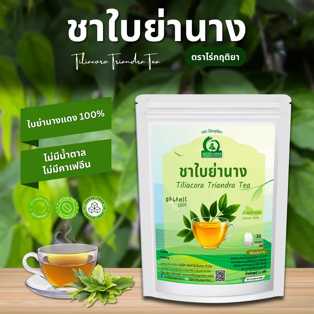 ชาใบย่านาง (Tiliacoro Triandra Tea) จากไร่กฤติยา
