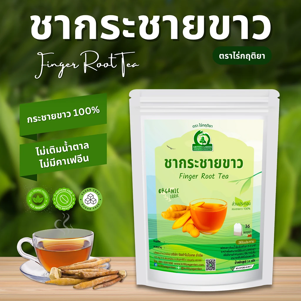 ชากระชายขาว