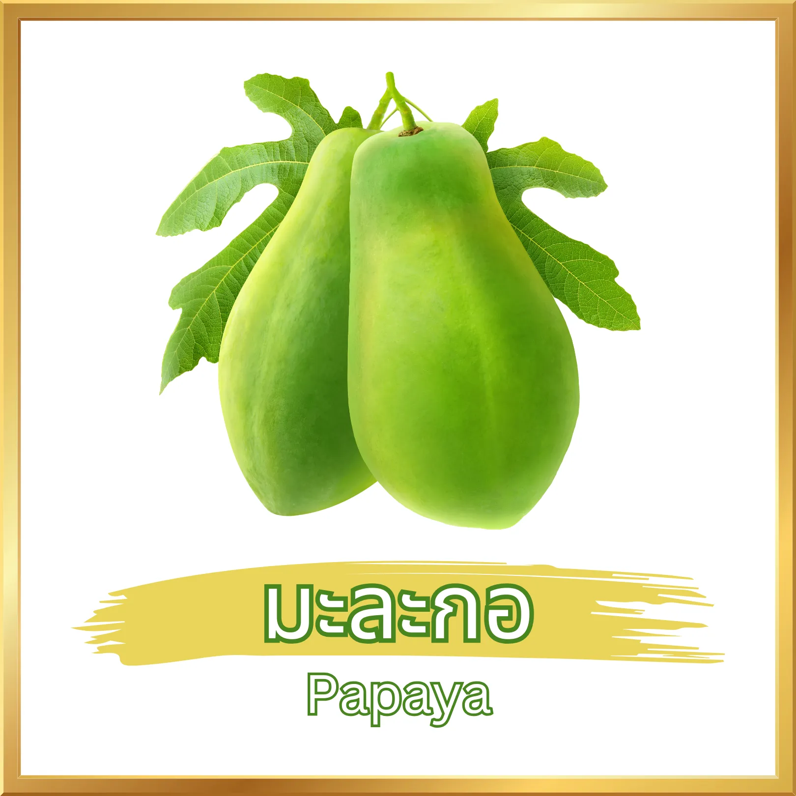 วิธีชง/วิธีดื่ม ผงมะละกอดิบ (Raw Papaya Powder) จากไร่กฤติยา