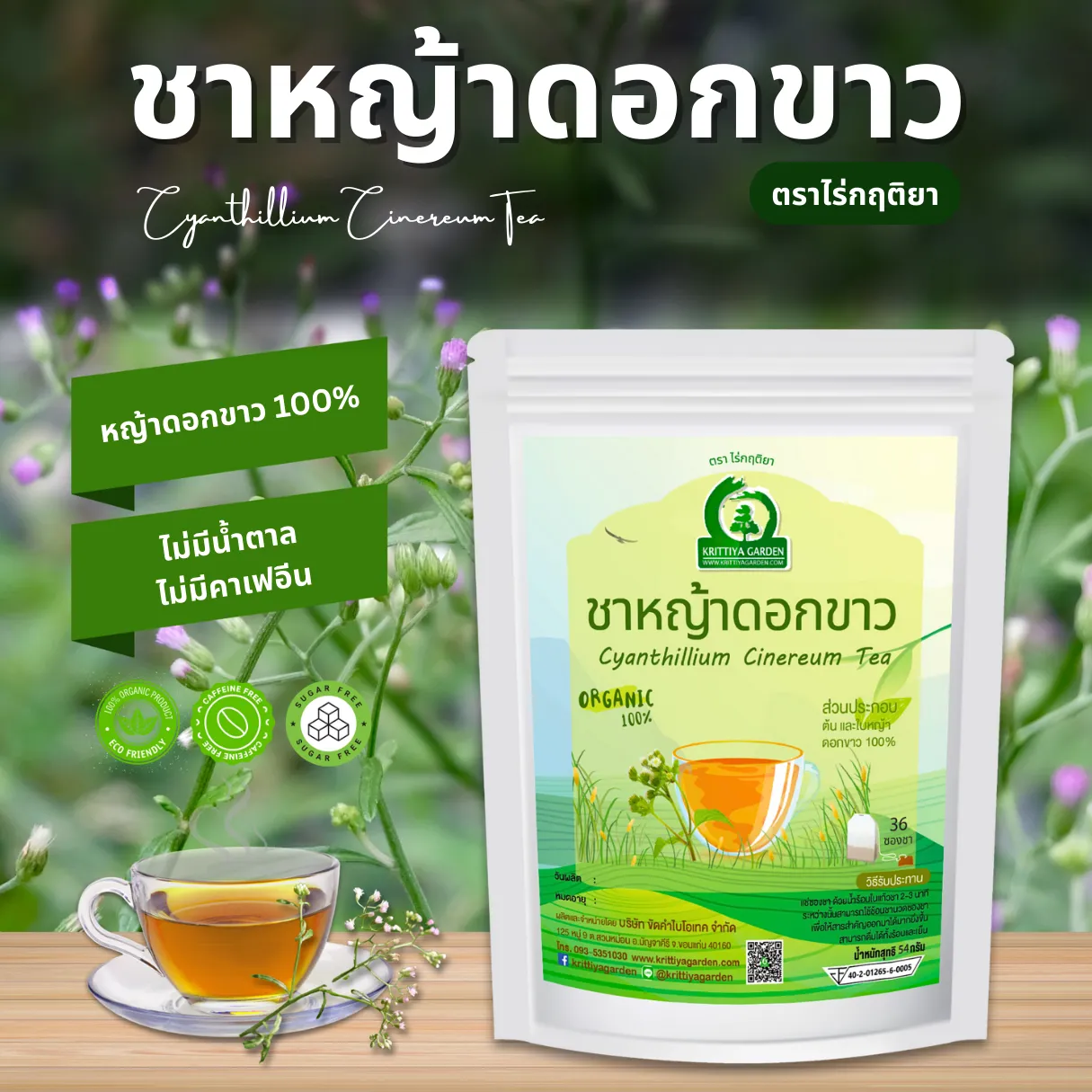 ชาหญ้าดอกขาว