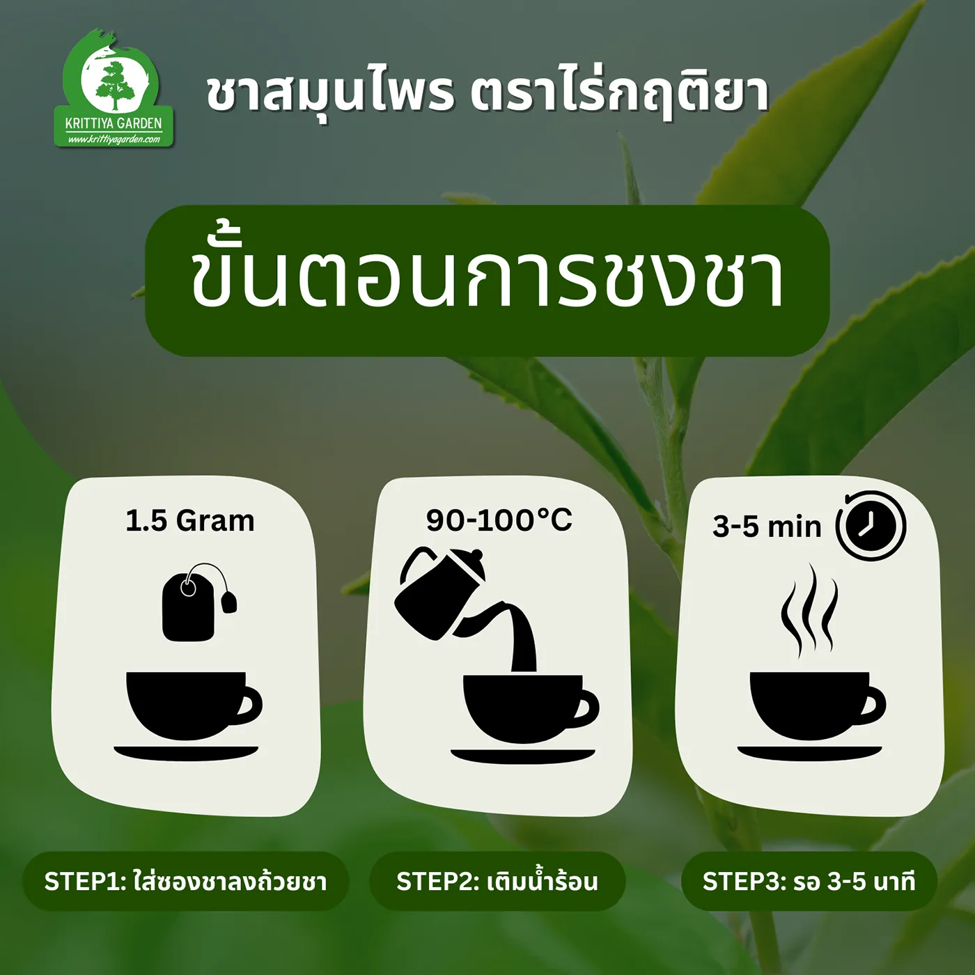 ชาหญ้าดอกขาว (Cyanthillium Cinereum Tea, หญ้าหมอน้อย) ภาพสินค้าจริงจากหน้าร้านไร่กฤติยา