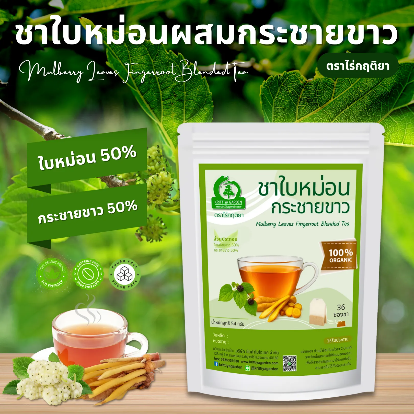 ชาใบหม่อนผสมกระชายขาว