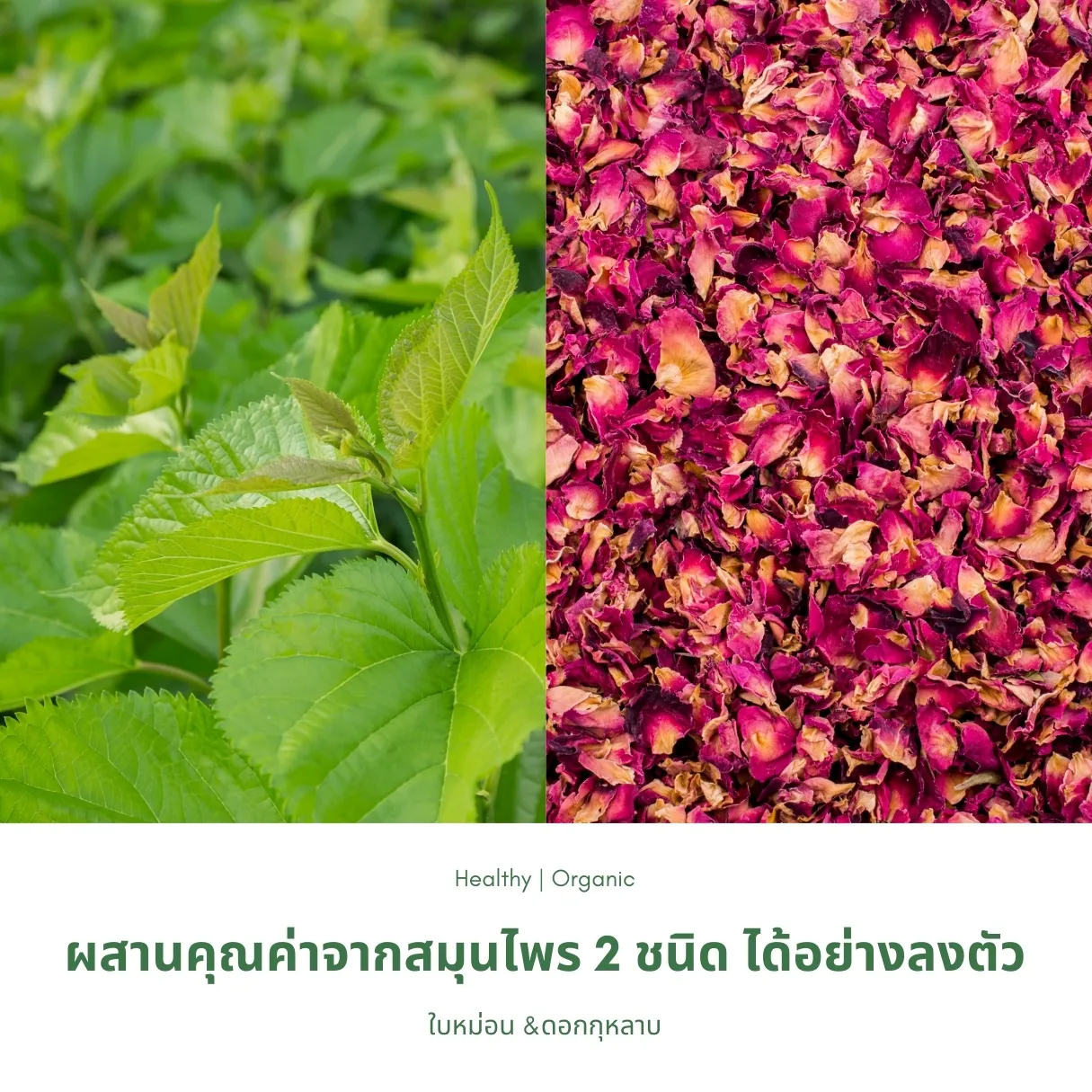 วิธีชง/วิธีดื่ม ชาใบหม่อนผสมดอกกุหลาบ จากไร่กฤติยา